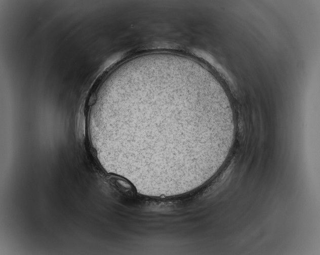 X0000086741221200705111628