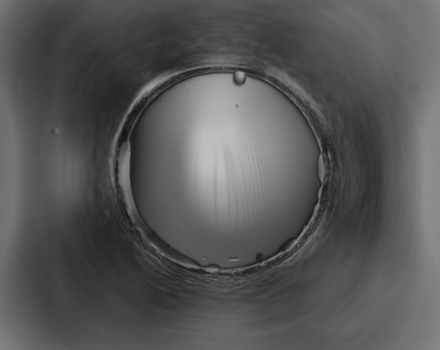 X0000086741222200705111628