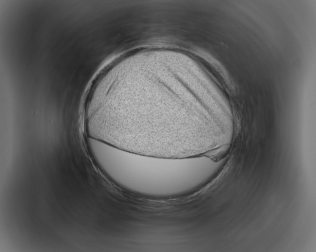 X0000086741224200705111628