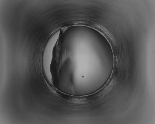 X0000086741225200705111628