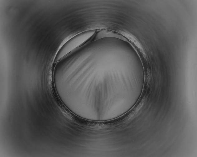 X0000086741226200705111628