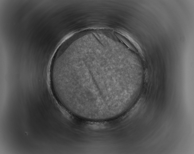 X0000086741229200705111628