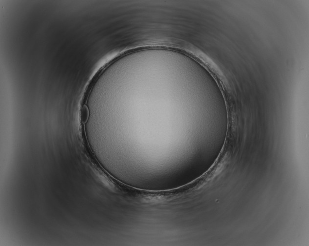 X0000086741230200705111628