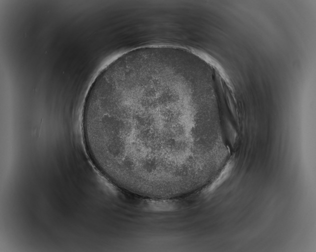 X0000086741231200705111628