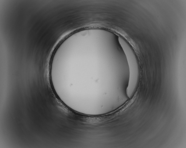 X0000086741232200705111628