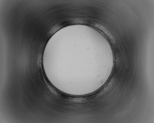 X0000086741233200705111628