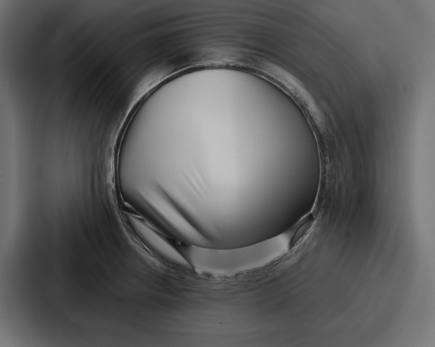 X0000086741234200705111628