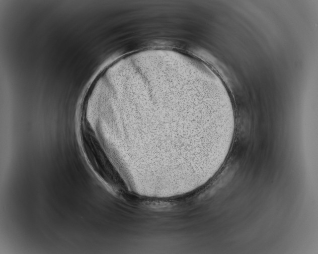 X0000086741235200705111628