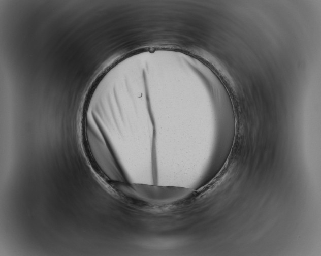 X0000086741237200705111628