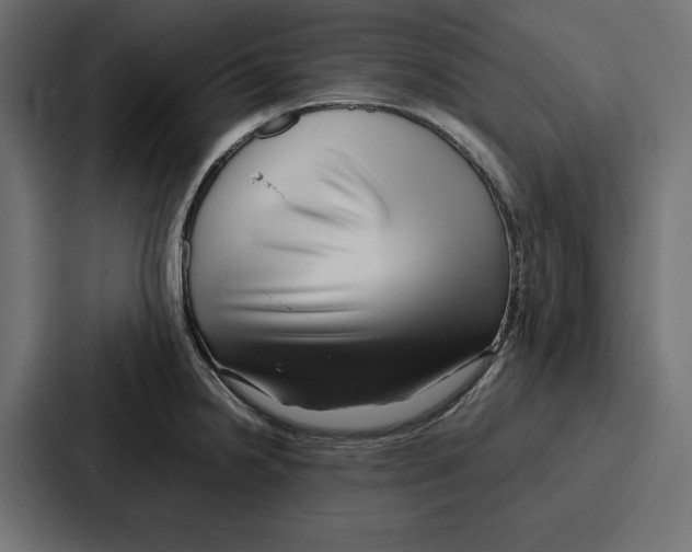 X0000086741238200705111628