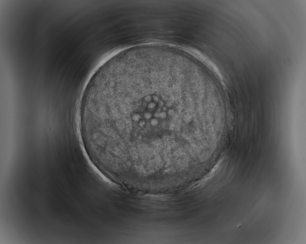 X0000086741239200705111628