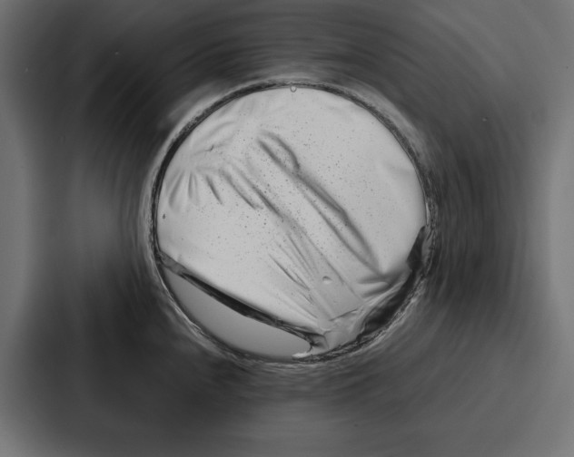 X0000086741240200705111628