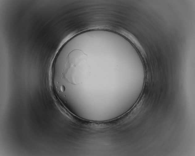 X0000086741242200705111628