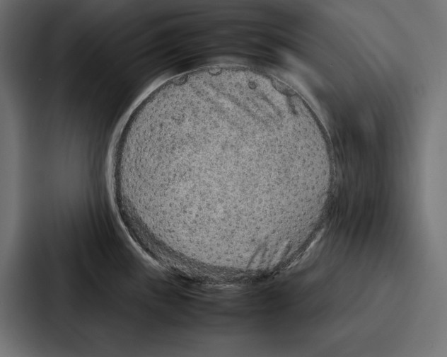 X0000086741243200705111628