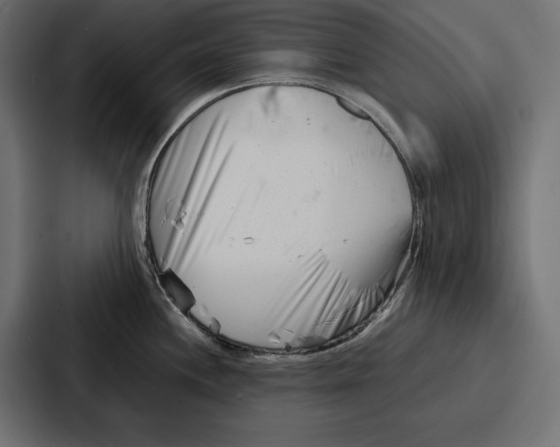 X0000086741244200705111628