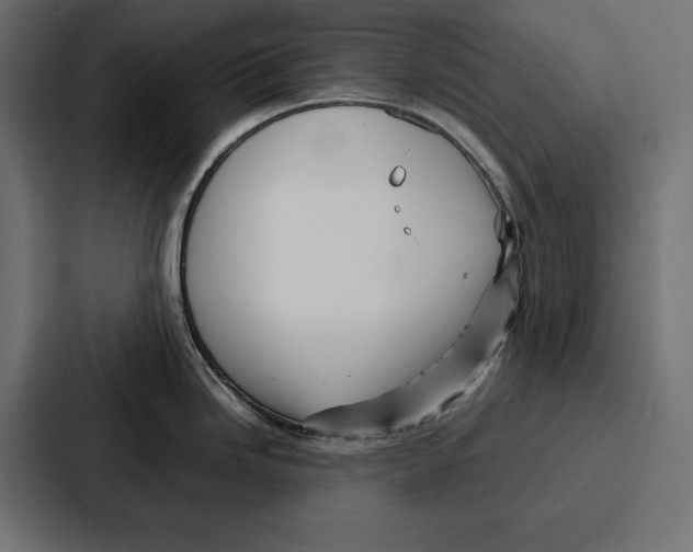 X0000086741246200705111628