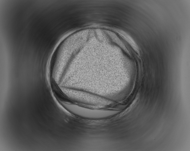 X0000086741247200705111628