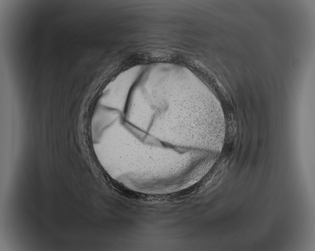 X0000086741249200705111628