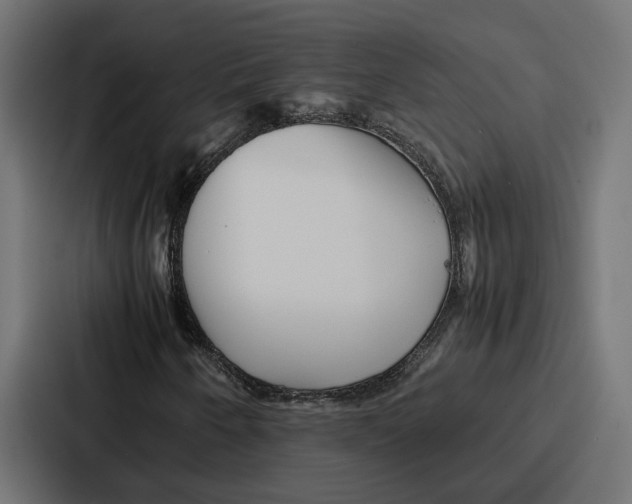 X0000086741250200705111628