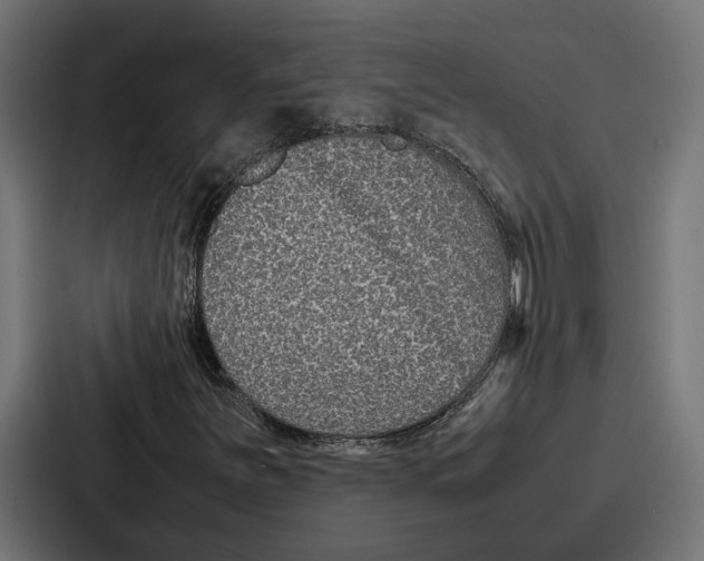 X0000086741251200705111628