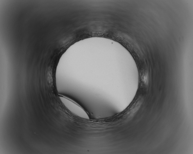 X0000086741252200705111628