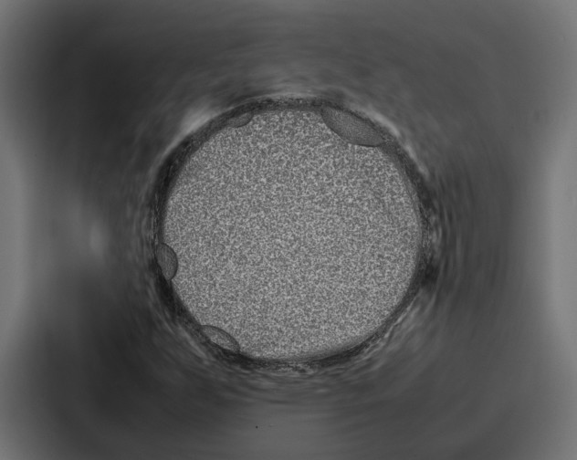 X0000086741255200705111628