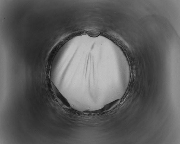 X0000086741256200705111628