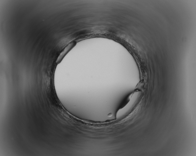 X0000086741257200705111628