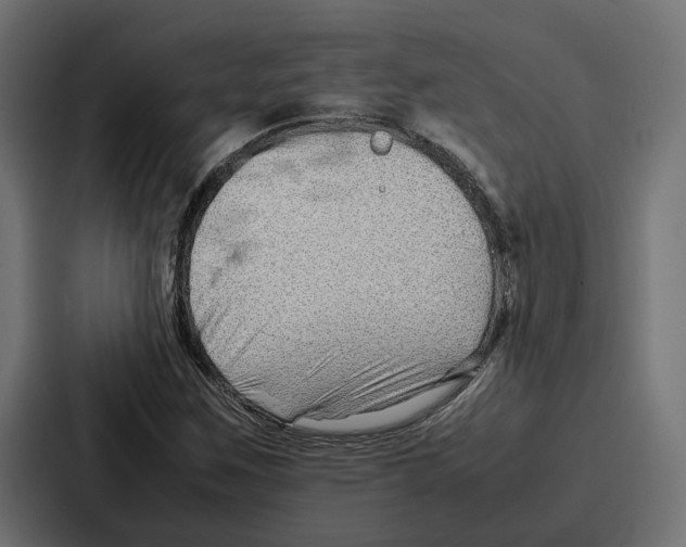 X0000086741259200705111628