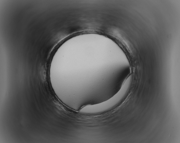 X0000086741260200705111628