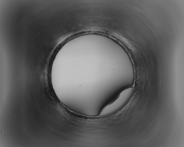 X0000086741264200705111628