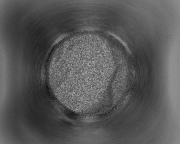 X0000086741266200705111628