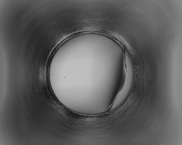 X0000086741268200705111628