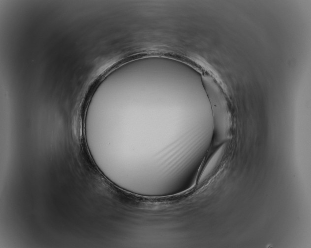 X0000086741269200705111628