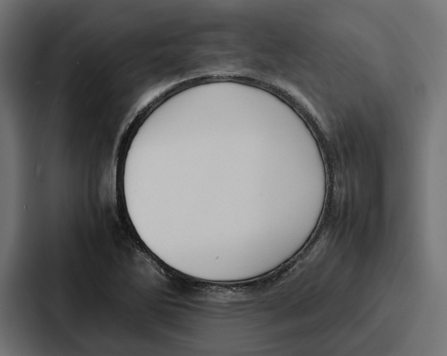 X0000086741270200705111628