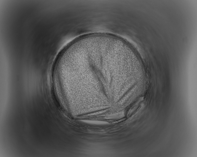 X0000086741271200705111628