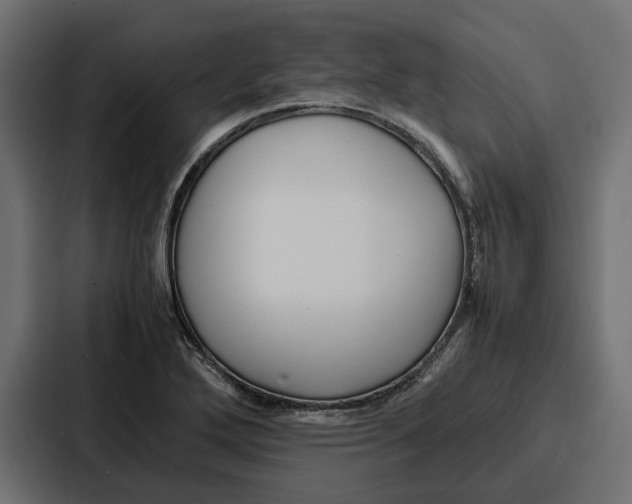 X0000086741272200705111628