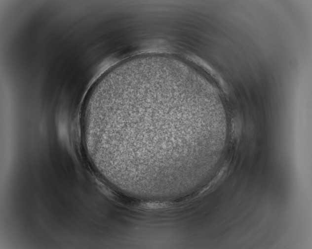 X0000086741274200705111628