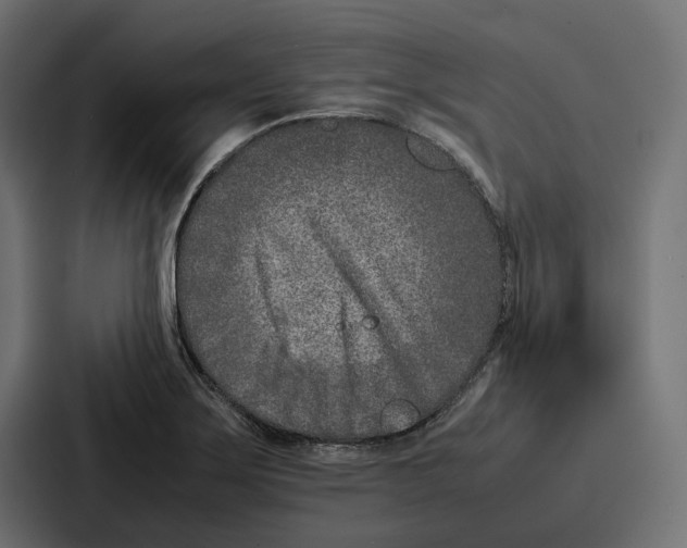 X0000086741275200705111628