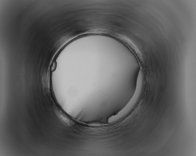 X0000086741276200705111628