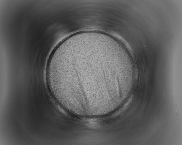 X0000086741278200705111627