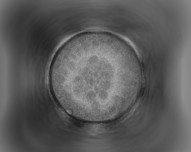 X0000086741279200705111627