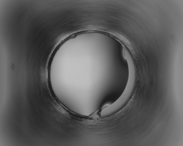 X0000086741280200705111627