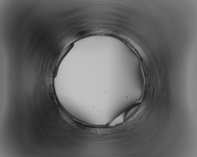 X0000086741281200705111627