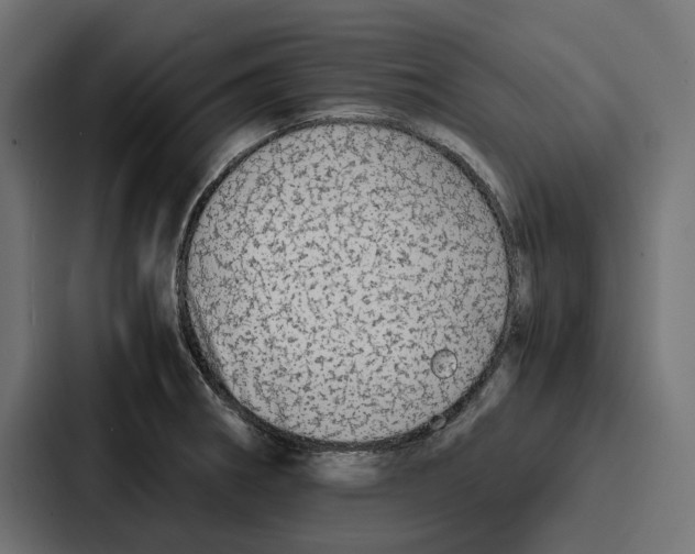 X0000086741282200705111627