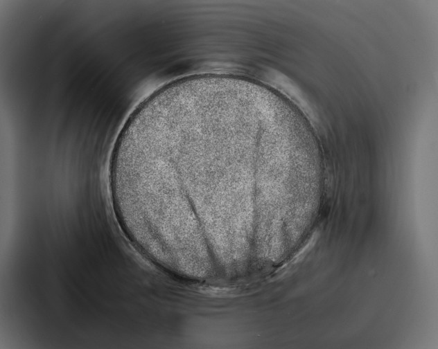 X0000086741283200705111627