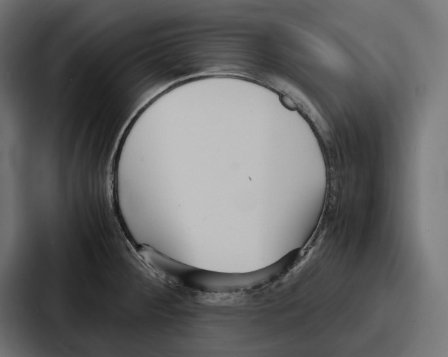 X0000086741284200705111627