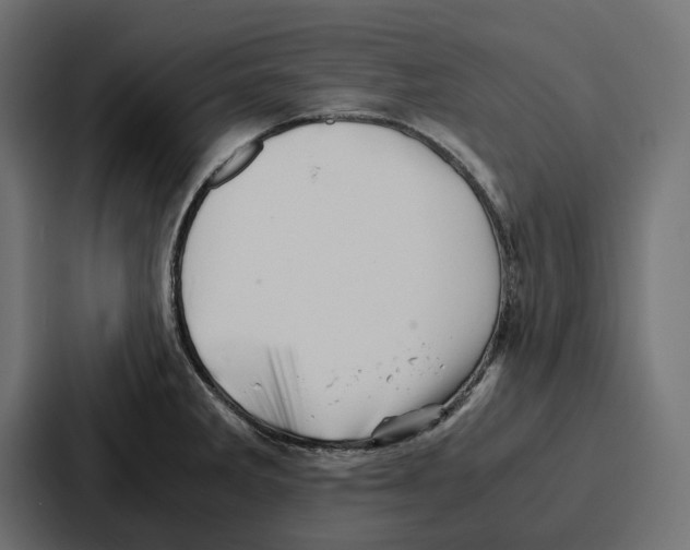 X0000086741285200705111627