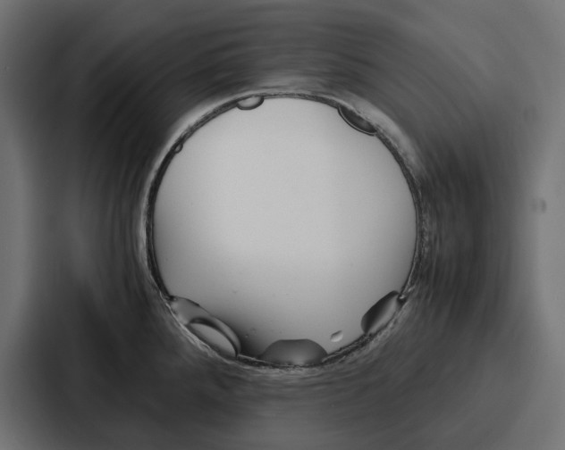 X0000086741288200705111627