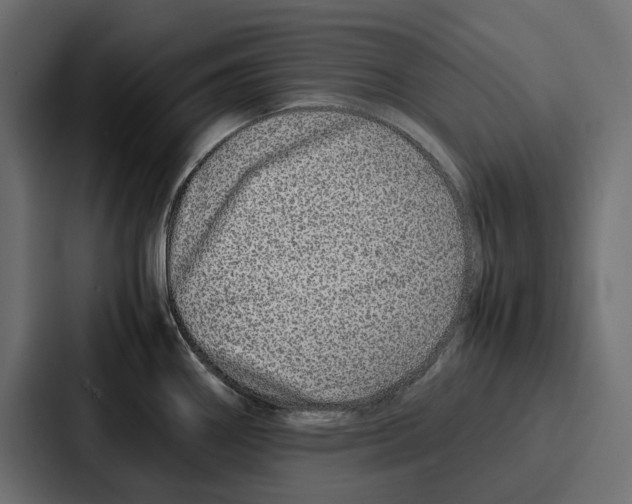 X0000086741290200705111627